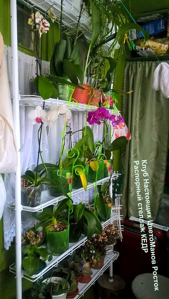 напольный металлический распорный стеллаж для цветов. Фото N3