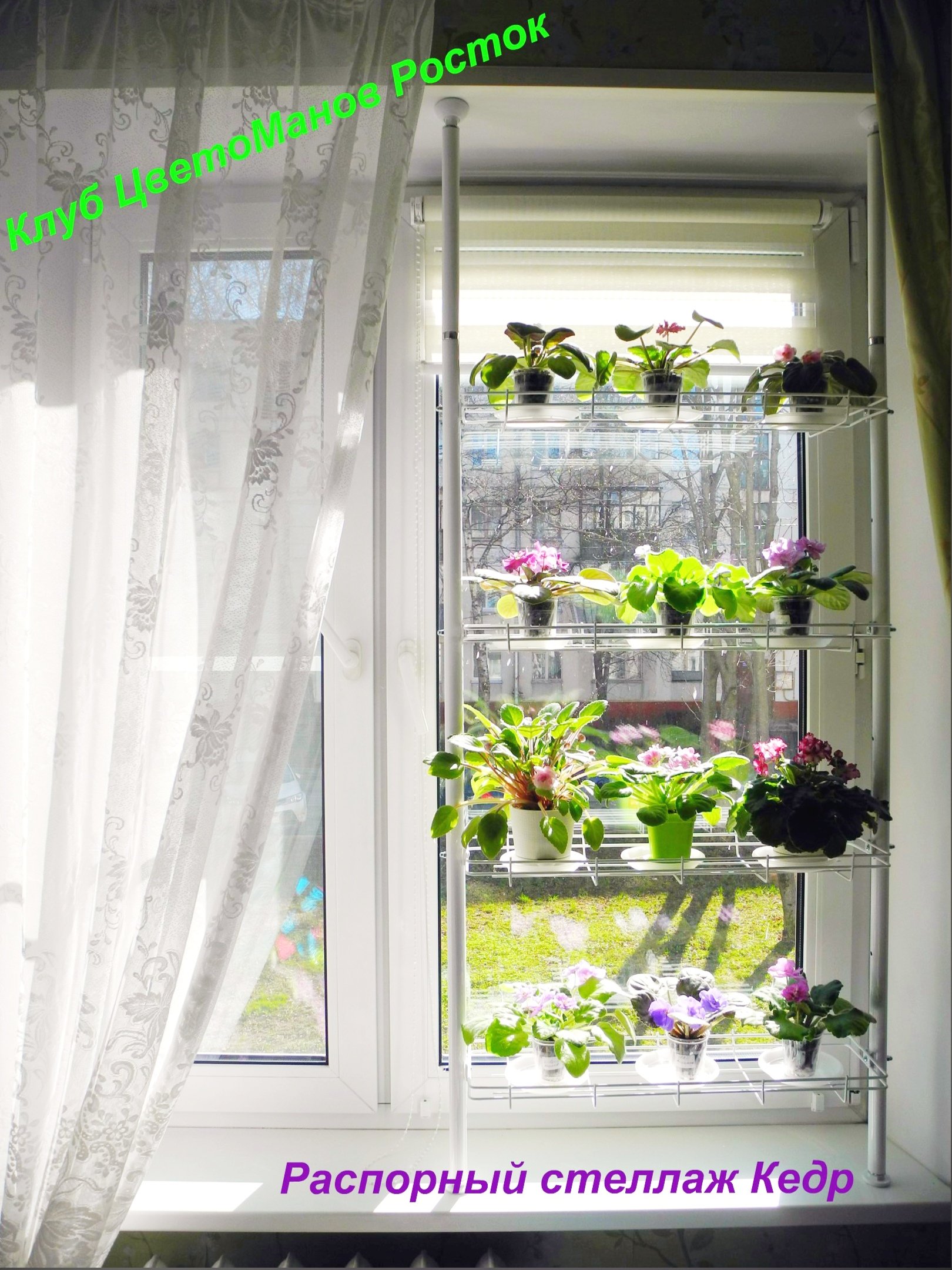 распорный стеллаж для растений и рассады на подоконник. Фото N16
